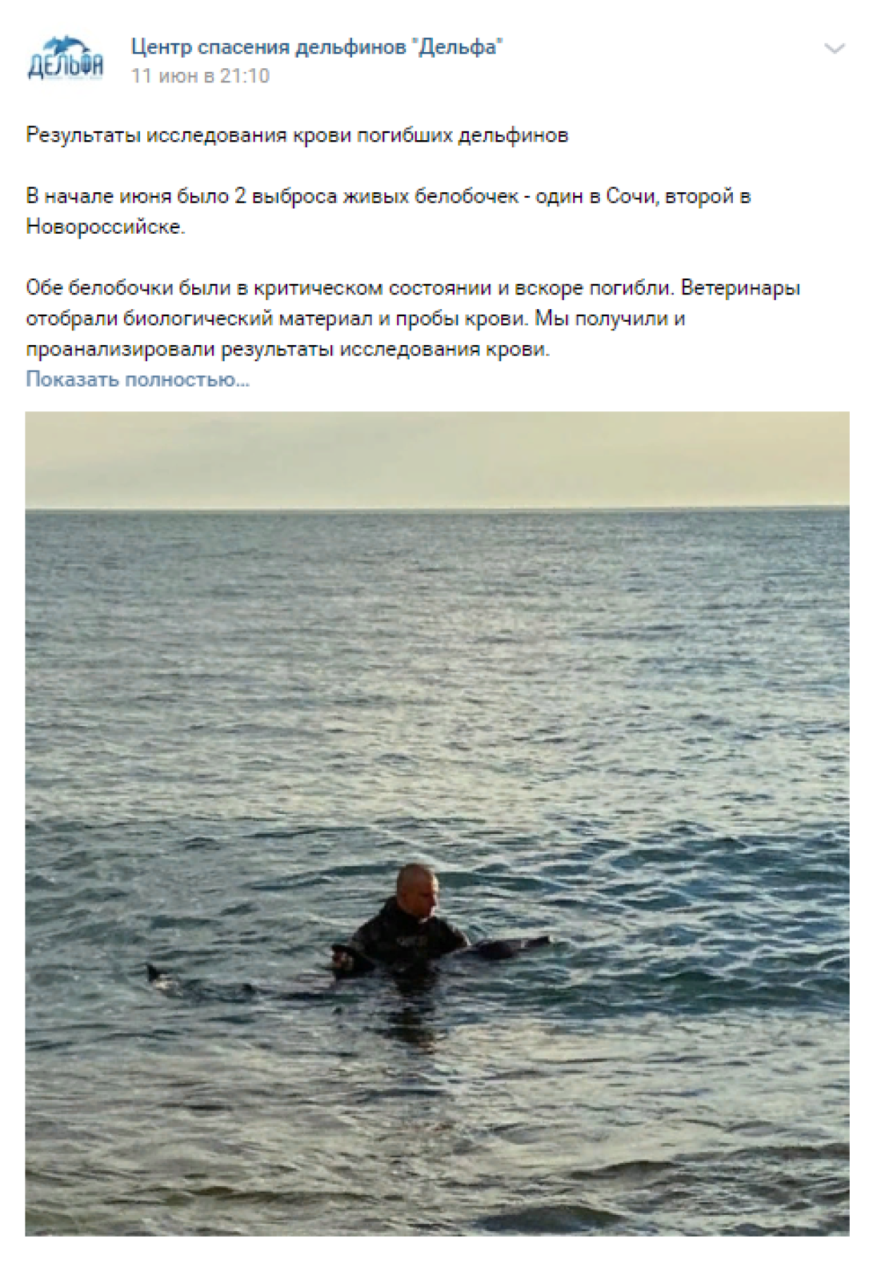 Nikolai Drozdov reacted to the death of dolphins in the Black Sea
