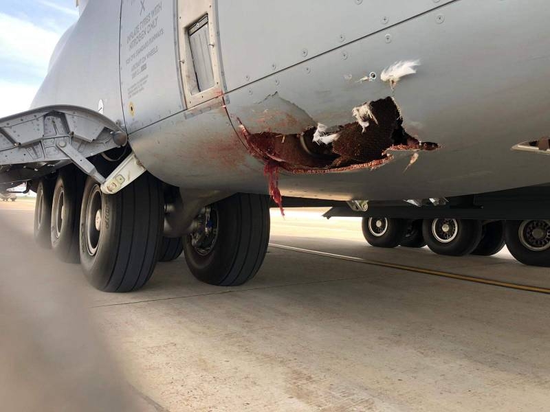 The effects of a collision of a Spanish Air Force transport plane with a bird are shown.