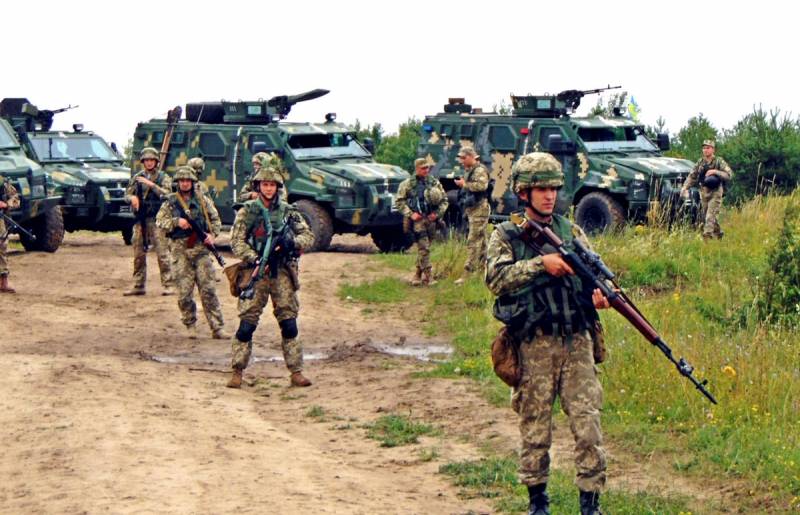 Захватить Донбасс руками НАТО: зачем Киев стремится в Альянс