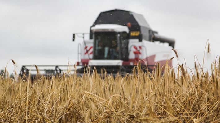 The West's fear of a ban on exports has confirmed the demand of the world market for grain from the Russian Federation