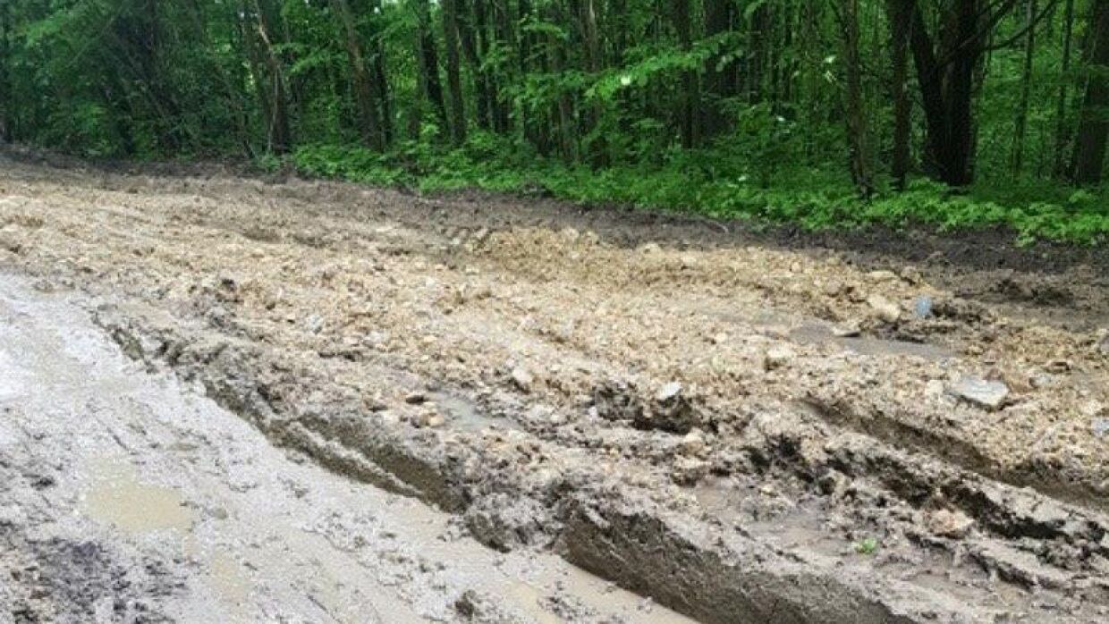 Villagers in Mordovia seek repair of the only road