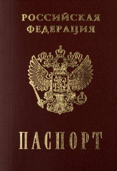 На Украине возмущены тем, что уже каждый четвёртый житель ДНР получил российский паспорт