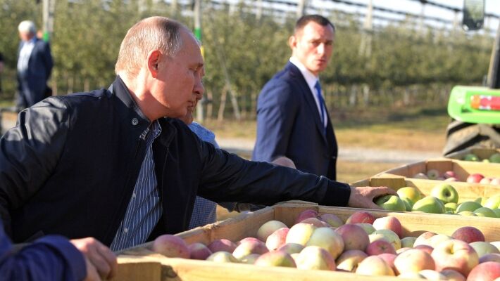 Просчет США помог России занять лидирующие позиции в сельском хозяйстве