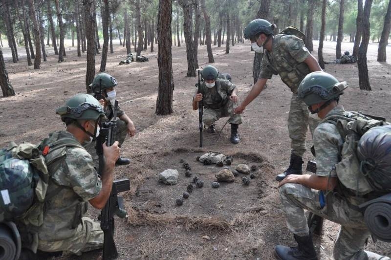土耳其新部队进入叙利亚伊德利卜省