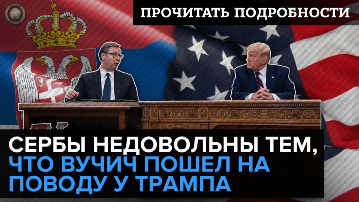 米沙·瓦西奇: 塞尔维亚需要用俄罗斯盾牌取代西方枷锁