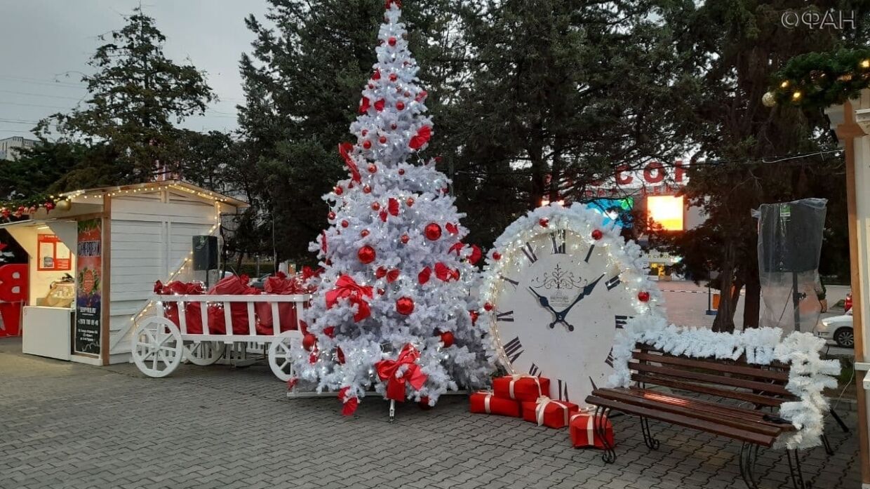 In Sevastopol told, when is the cheapest time to buy a Christmas tree