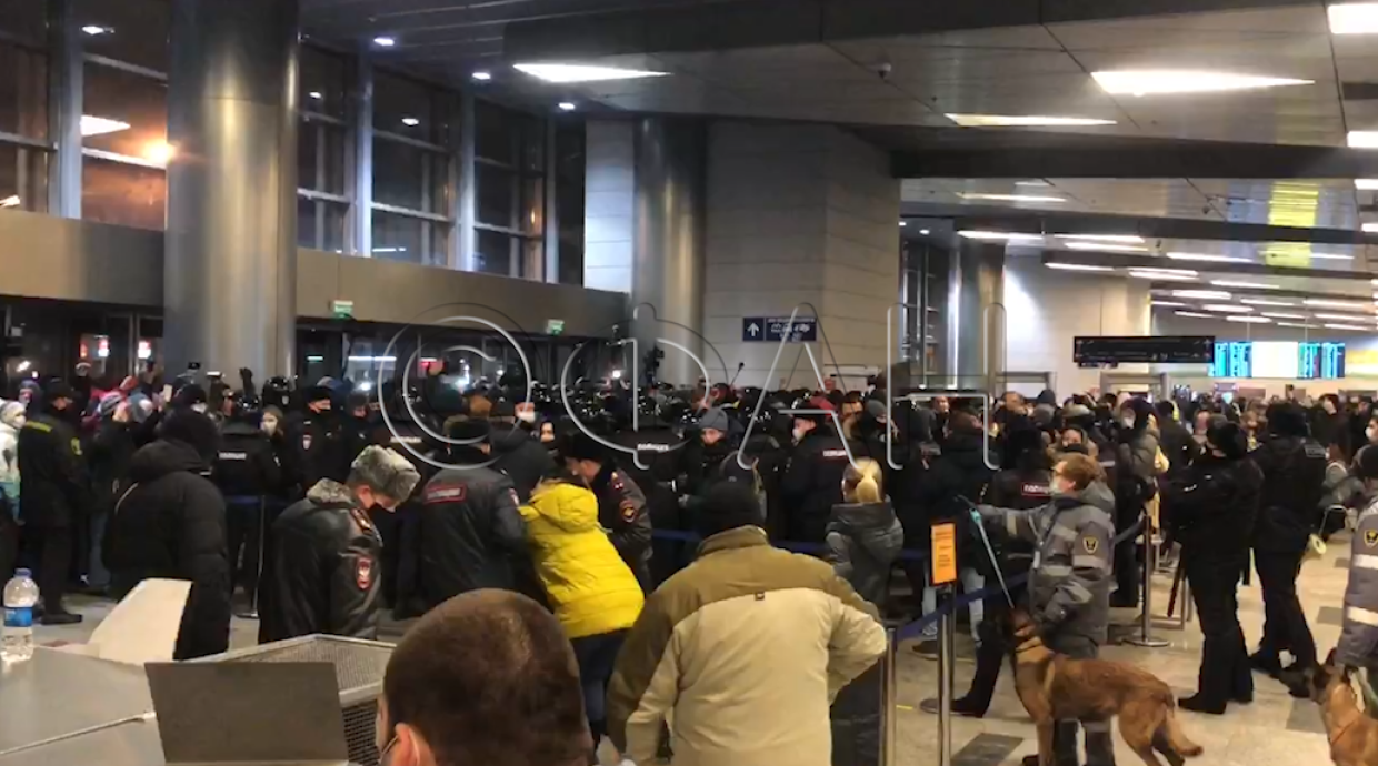 FAN publishes footage of the detention of provocateurs in Vnukovo