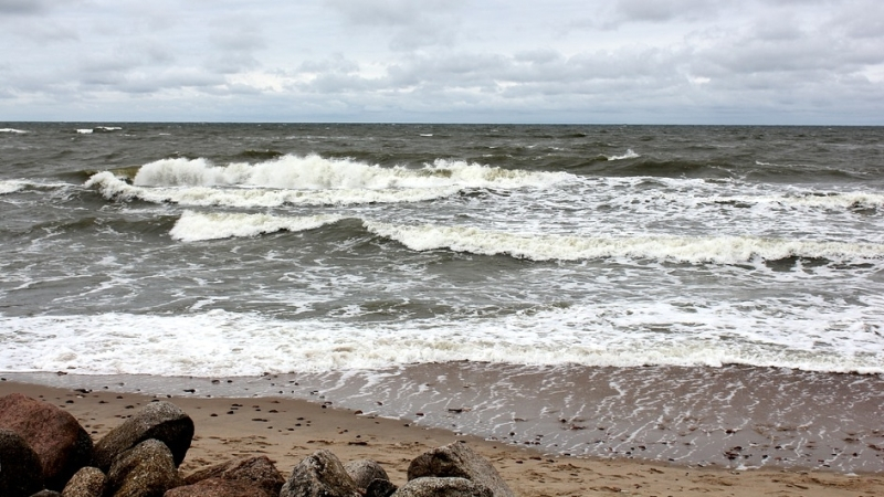 The Kaliningrad region was flooded with tourists during the New Year holidays