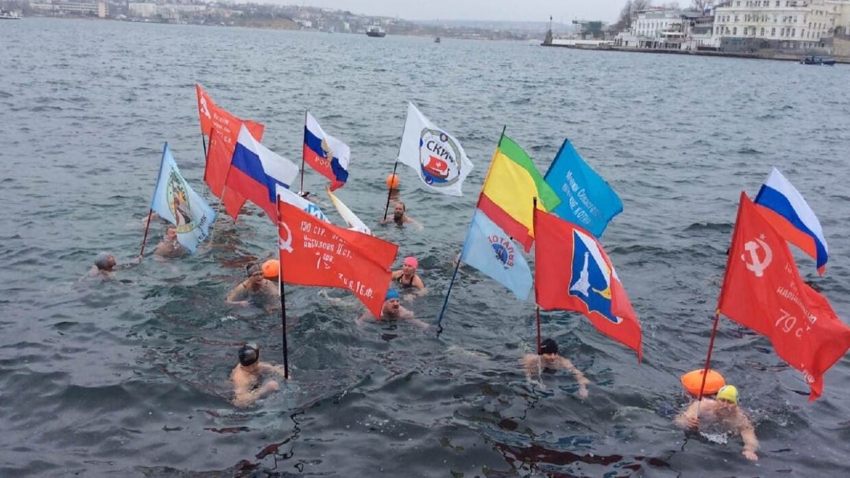 Las morsas de Crimea le dijeron a FAN, como empezar a nadar en el mar en invierno