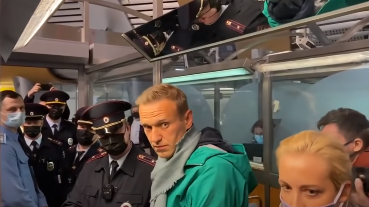 Политолог Гогуадзе рассказал, почему Навального выгнали из Германии