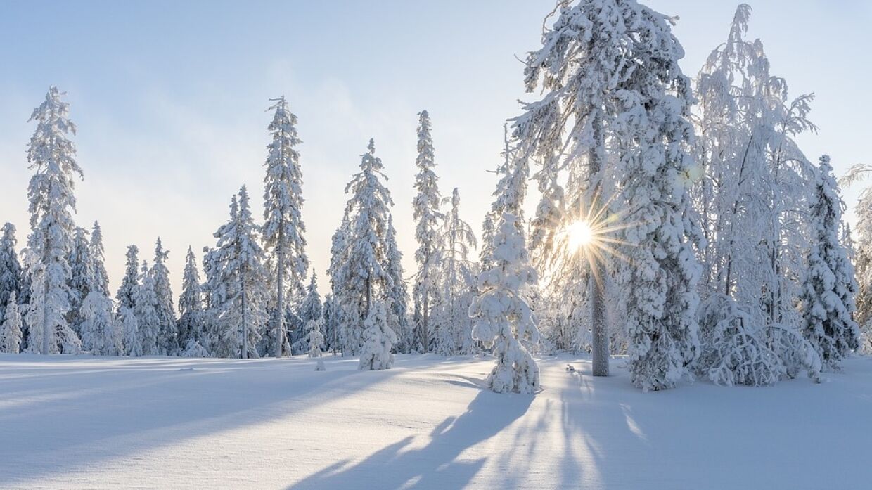 Список самых дорогих направлений для зимнего отдыха в России