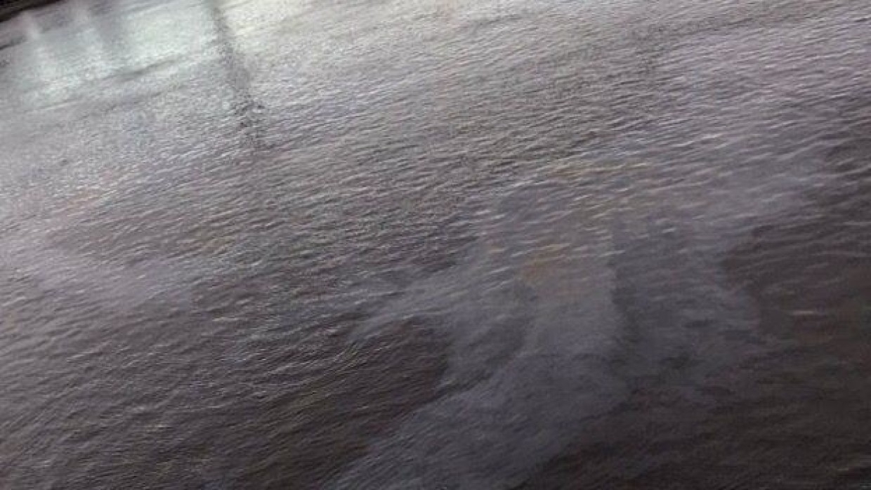 The transport prosecutor's office is dealing with the pollution of the Burnaya river with oil products