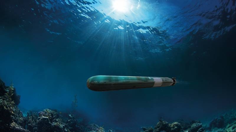 Зарубежные СМИ о вероятной цели создания Россией подводного беспилотника «波塞冬»