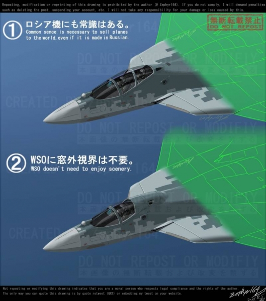 In Japan, offered unusual options for the layout of the two-seater cockpit of the Su-57 fighter