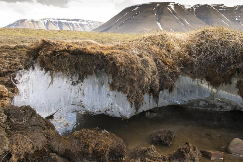 Western press: Melting permafrost could activate Cold War nuclear waste and dangerous pathogens