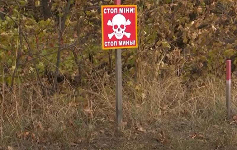Сапёры британо-американской организации HALO Trust начали разминирование в районе линии разграничения на Донбассе