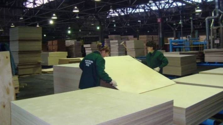 Restrictions on timber exports expand opportunities for Russia's domestic market