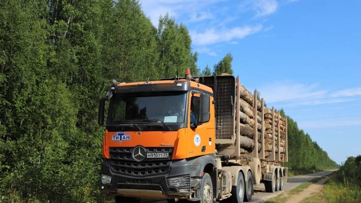 Restrictions on timber exports expand opportunities for Russia's domestic market