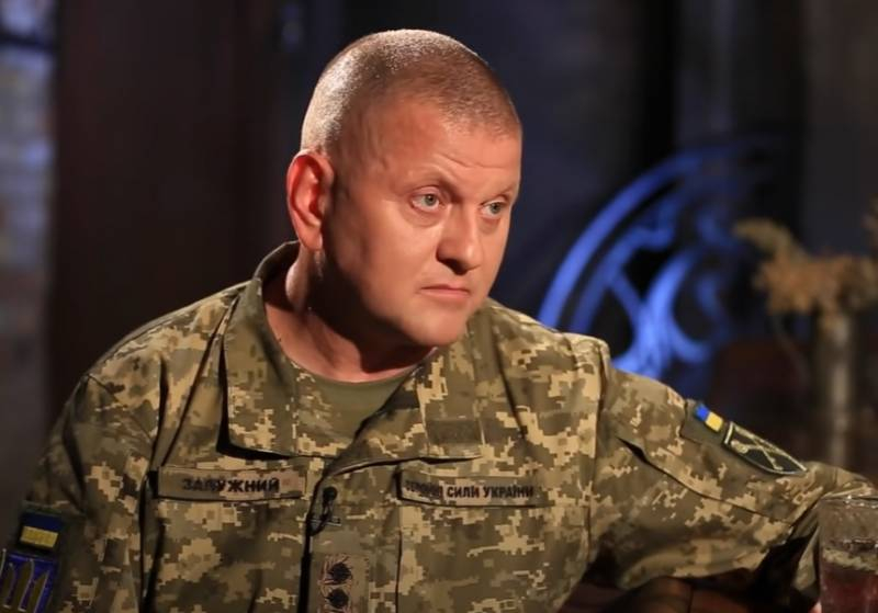 Commander-in-Chief of the Armed Forces of Ukraine: The Ukrainian army currently has no plans for an operation to enter Crimea