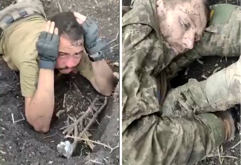 «Зарываются в землю и обречённо ждут плена»: глава Чечни прокомментировал пленение очередной группы украинских военных